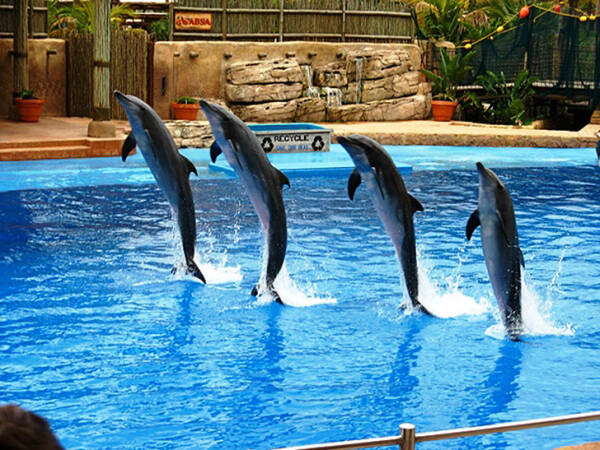 25 причин посетить Мальту 25 причин посетить Мальту